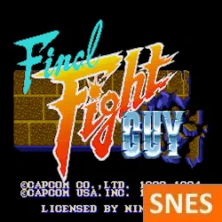 Final Fight Guy